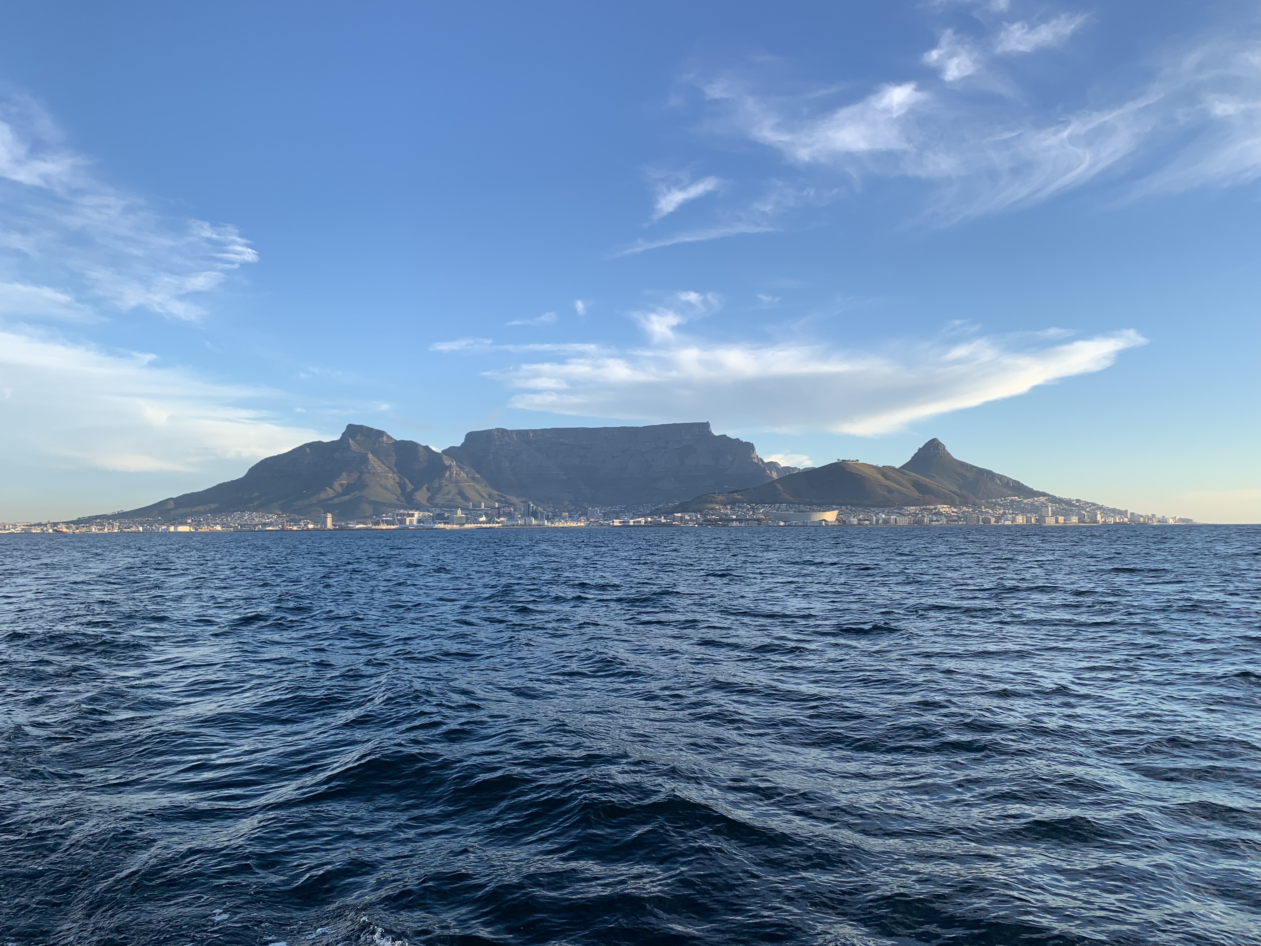 8BFD2199-5FF7-4B48-96FF-616FFBF9A1B2