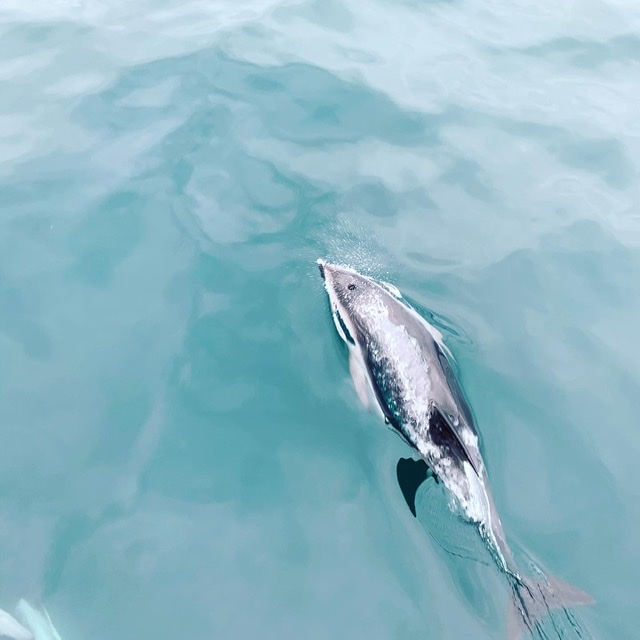 32F1FC23-CCDC-4A89-A9E0-1BD4CE66BDD2