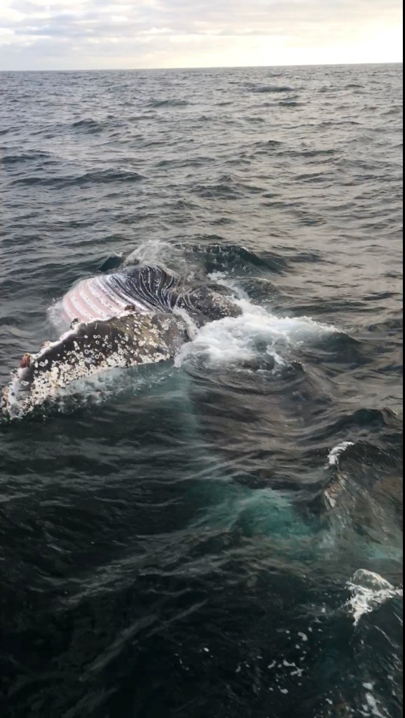 3396F791-DBBC-4111-A1EF-2072F33188C9