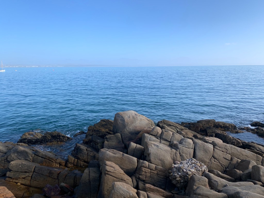 625B0A77-CB05-4013-9E95-CF2EF19D2FB2