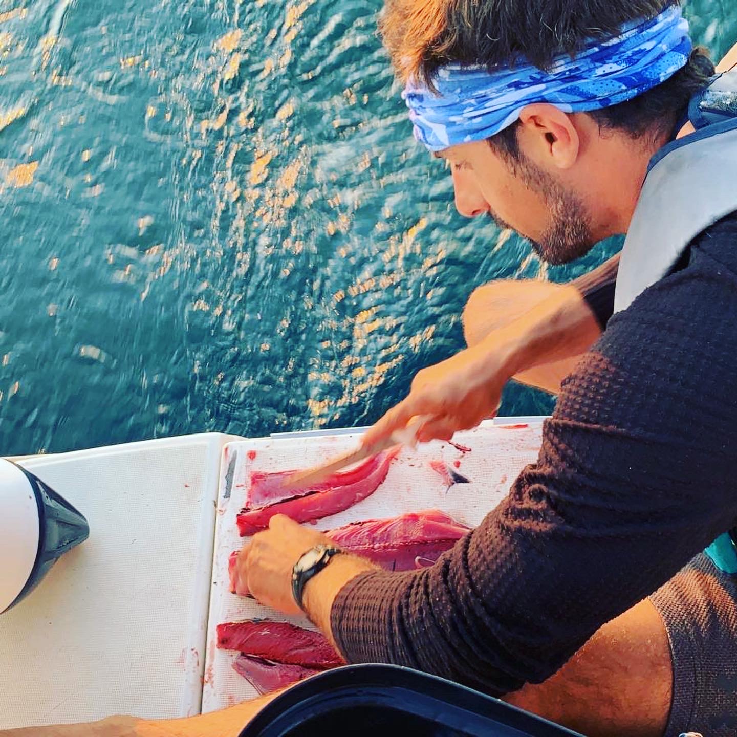 8D03FE19-7D71-417E-9854-39686022B2FB