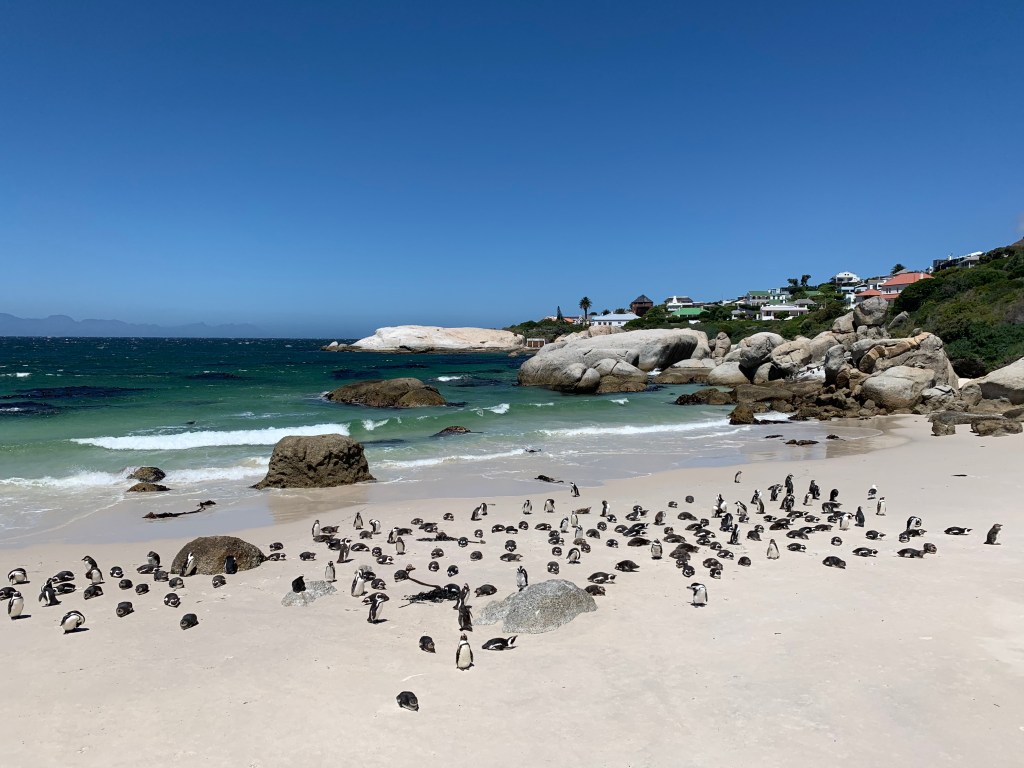 AE091C18-83C5-41DC-B046-6602C49FB458