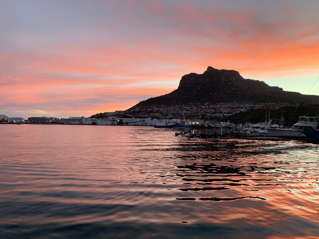 CF00E7C5-DB8F-4160-A41D-00D1EE3C59DD