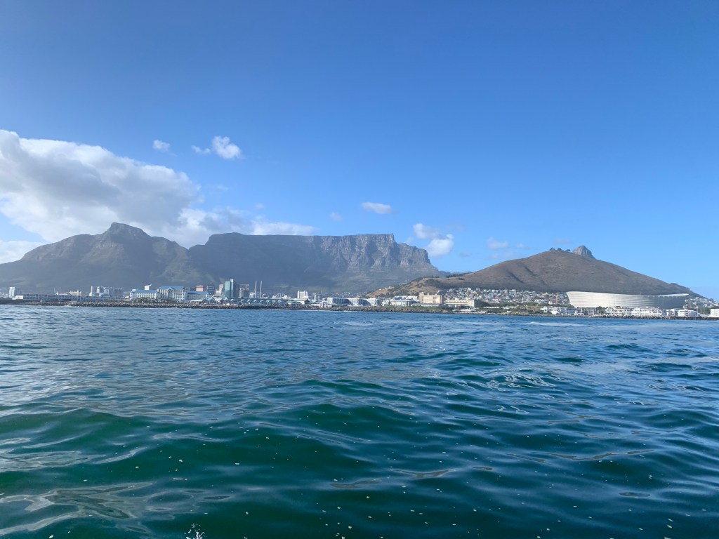 E0C7963F-BFA4-4128-9DB7-B3F6F82940EC